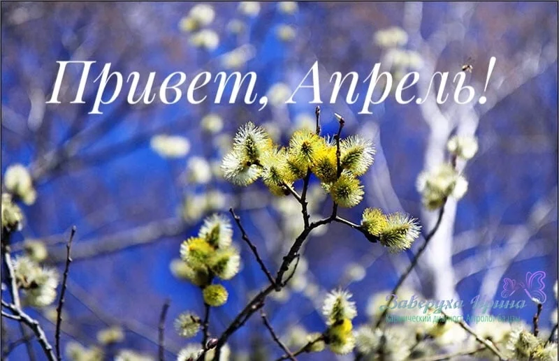 1545038844_1.webp