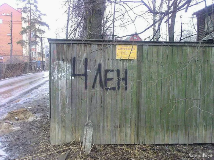 1547066504130075235.webp