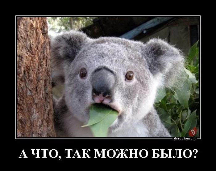 1548659280_A-ChTO-TAK-MOZhNO-BY_demotions.ru.webp