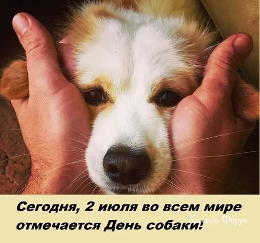 154cfc40768650f2d0b78.webp