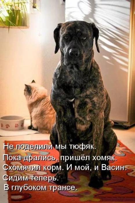 1550e16b2737004d17b71ca5ae2cc02d.webp