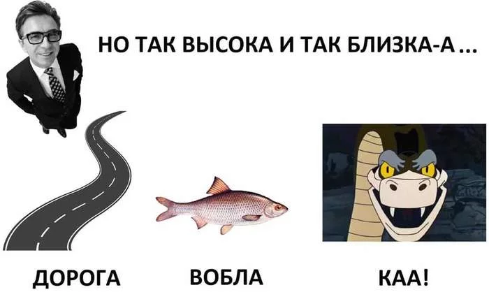 1551412957146954679.webp