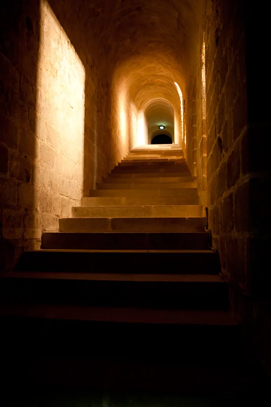 1551950_original.webp