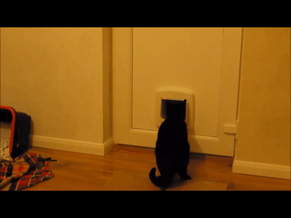 1552969613157660699.gif