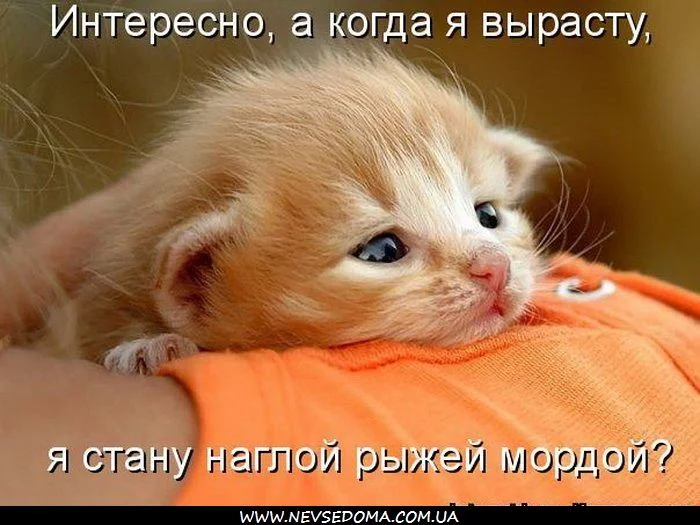 1555326186-15.webp