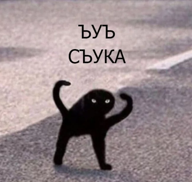 1555338493157395451.webp