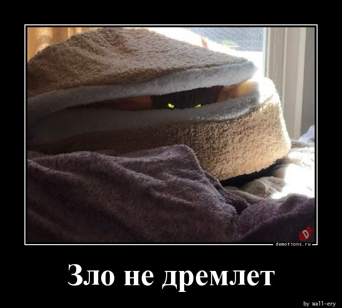 1555484682_Zlo-ne-dremlet_demotions.ru.jpg