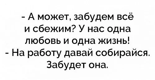 155772171c2de36c455fe9c4.webp