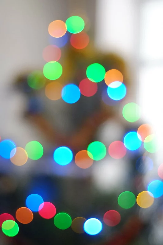 15658041434_9078d4a71b_c.webp