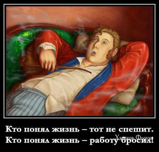 156901723151eab995c3d6.jpg