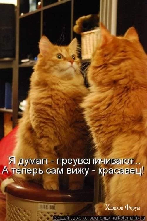 156ad4c67678ab37849.webp