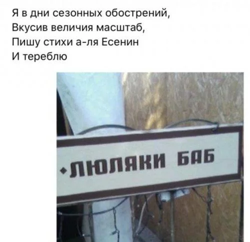 1574703597_vizhu-rifmy-11.webp