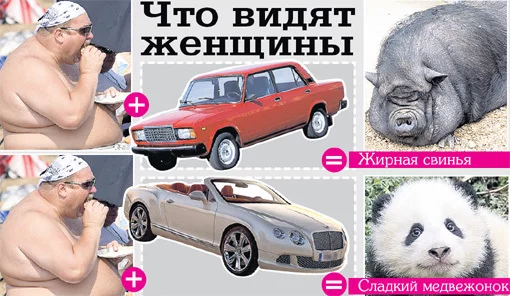 157491.webp