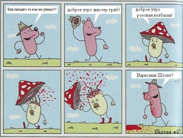 1576835270_13779591.webp