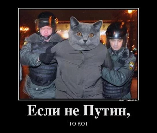 157875_900.webp