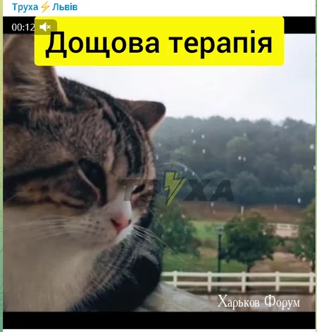 157b07b3b4e5cfa9914d43f.webp
