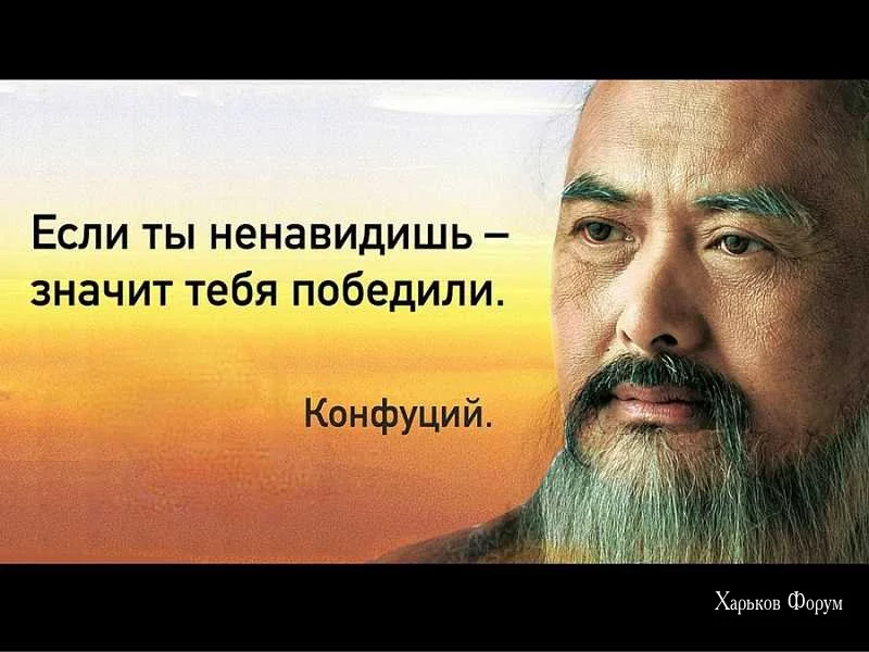 158117c304889ccf.webp