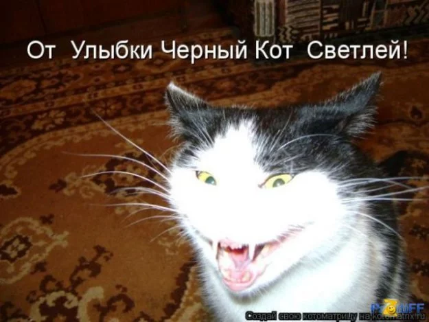 158508.webp