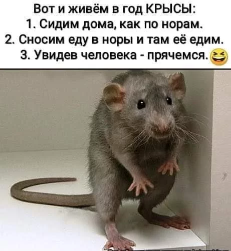 1585214790137699125.webp