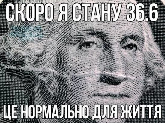 1585855.webp