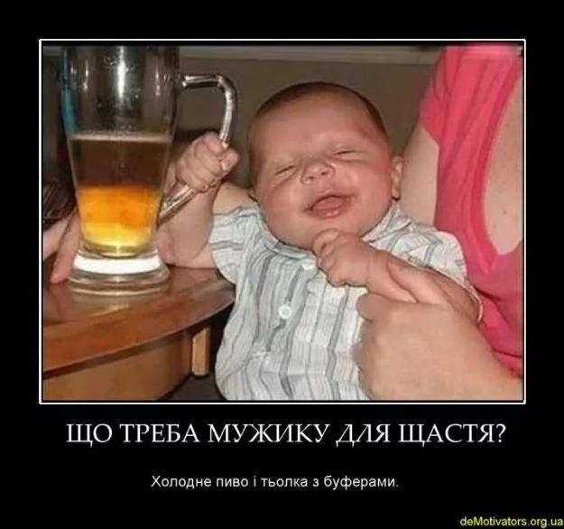 159238_286879.webp