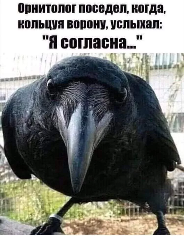 1593891658.webp