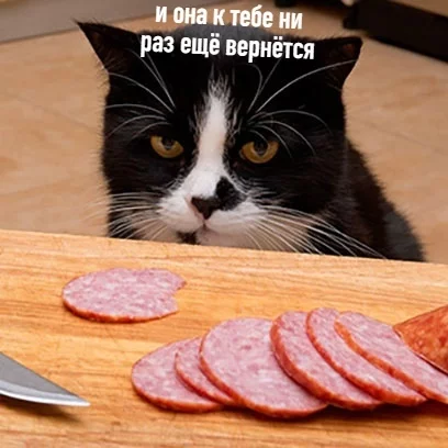 1595098354116799739.webp