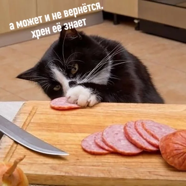 159509836317595971.webp