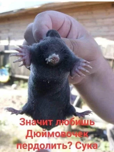 1595759657.webp