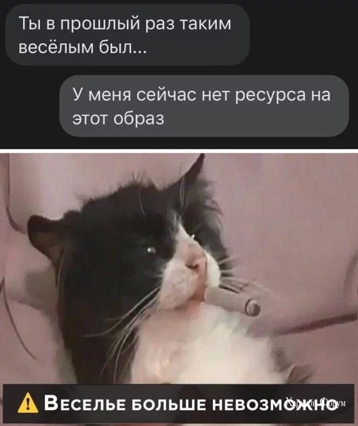 1597305473cf37c8d.webp