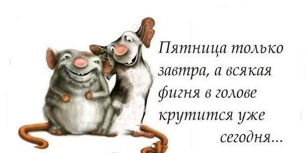 15a3eb3d297f960a7bc3b2.webp