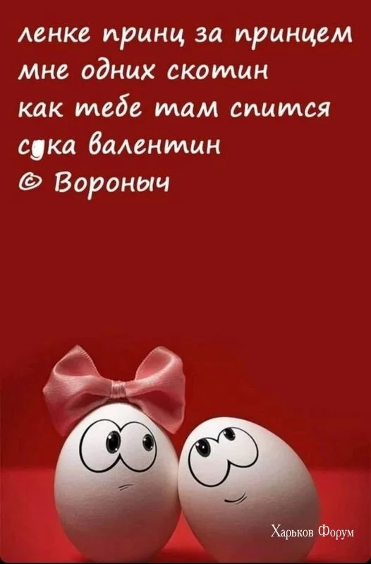 15d3e2a566a587fc6de3.webp