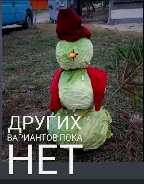15e0ccd44f05354c423e5c226953d911.webp