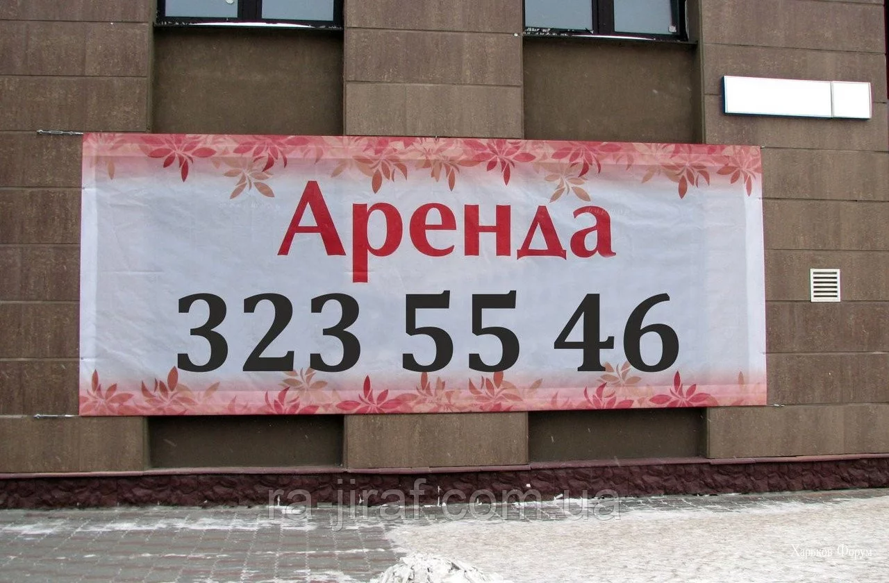 15e441871008d805d5b64b7c.webp