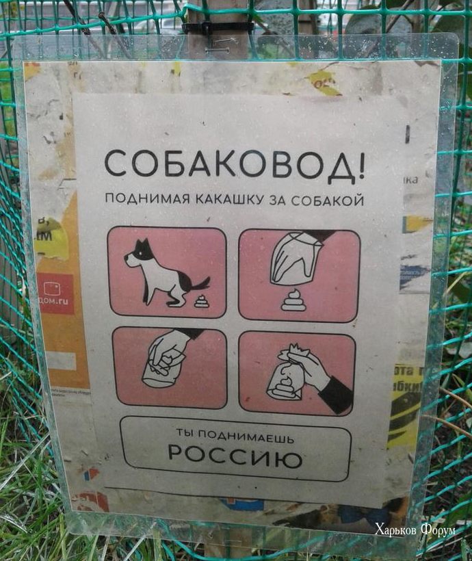 15eddc1eac578947c776fa.png