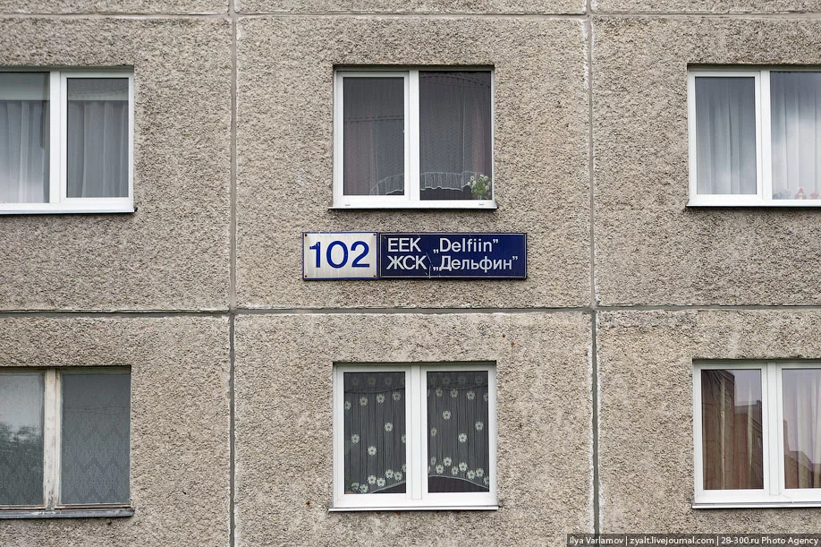 16.webp