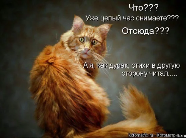 160133_288704.webp
