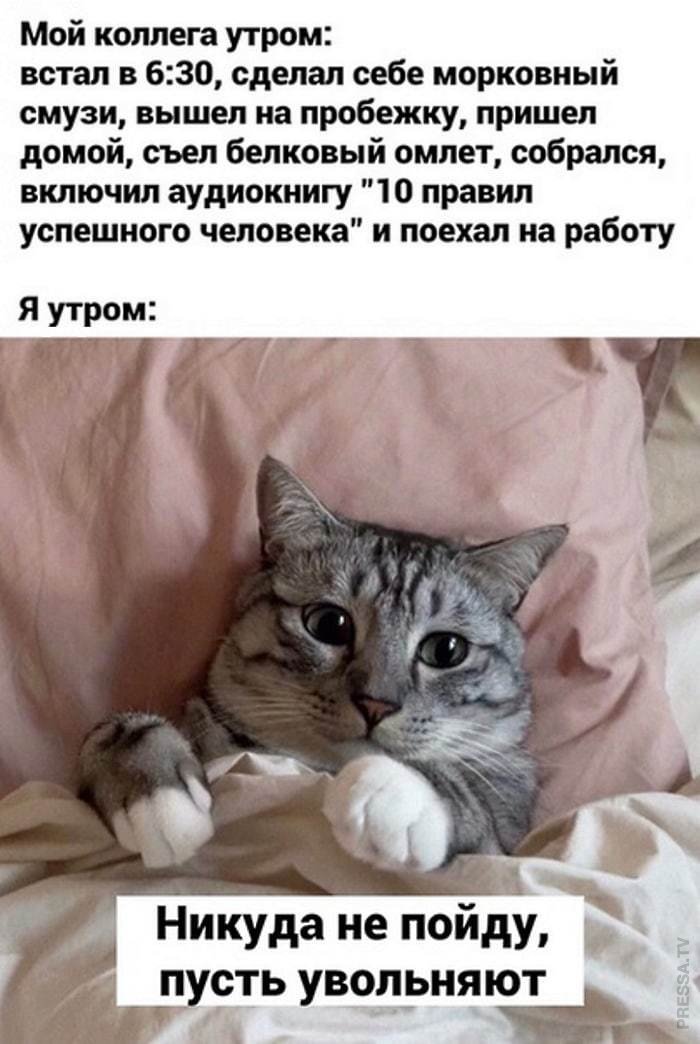 1605597189_pressa_tv_meme-04.jpg