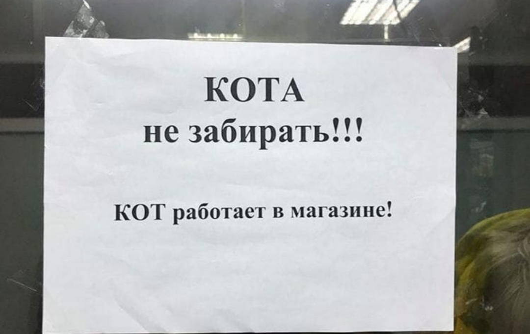 1606142053173781034.jpg