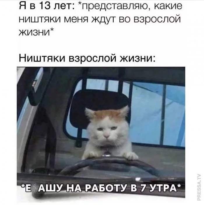 1608018714_pressa_tv_mem-08.webp