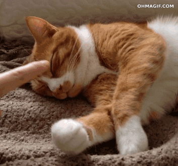 161004f24b3d076ebd13.gif