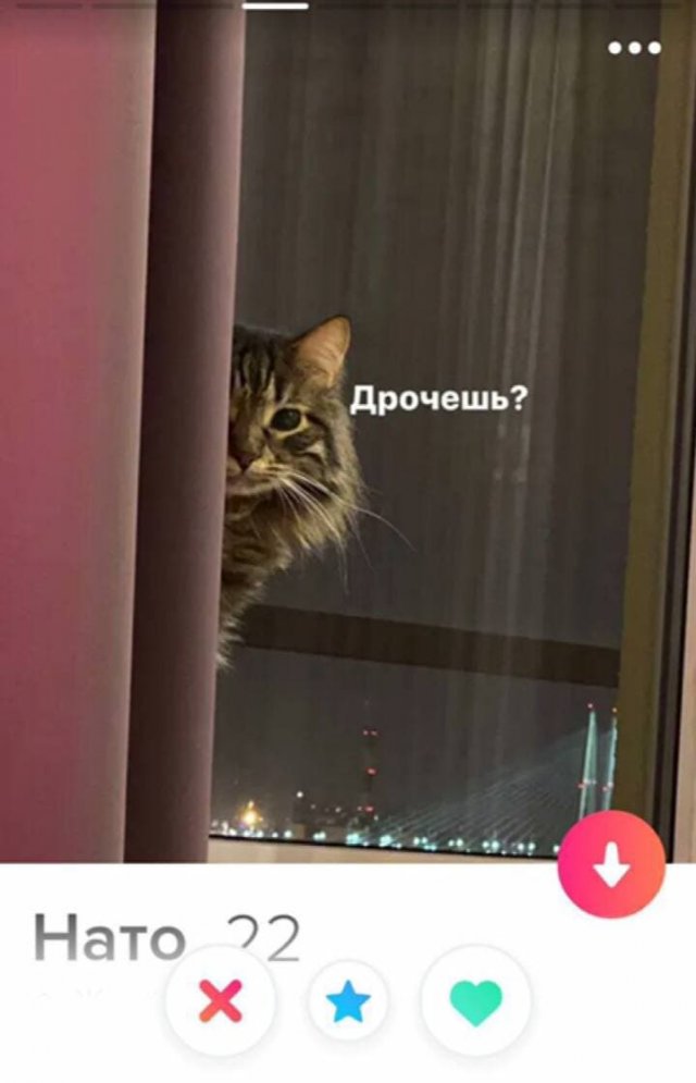 1611297632_206990_2_trinixy_ru.jpg