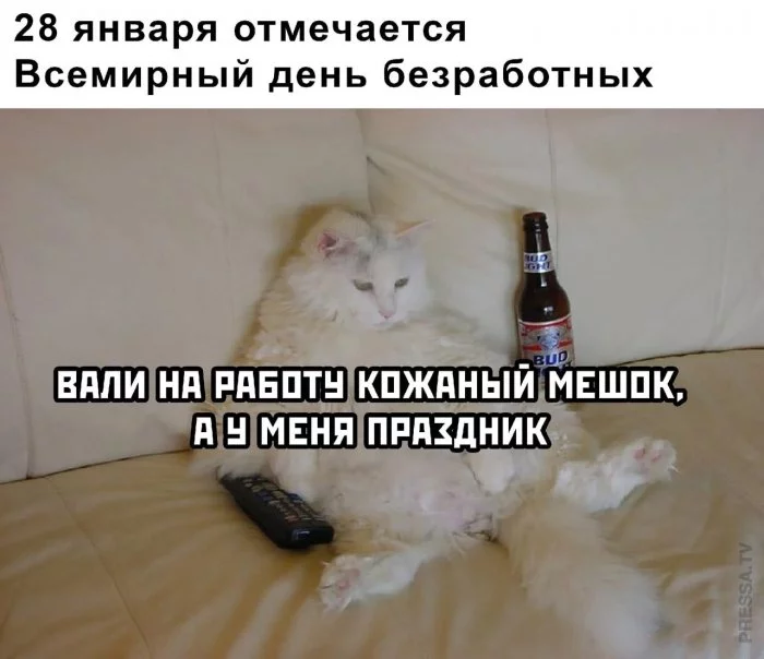 1611824138_pressa_tv_mem-18.webp
