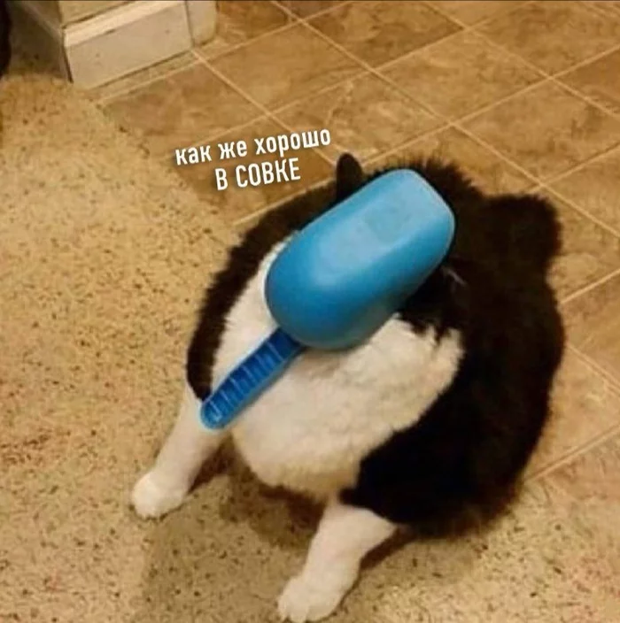 161226980417562624.webp