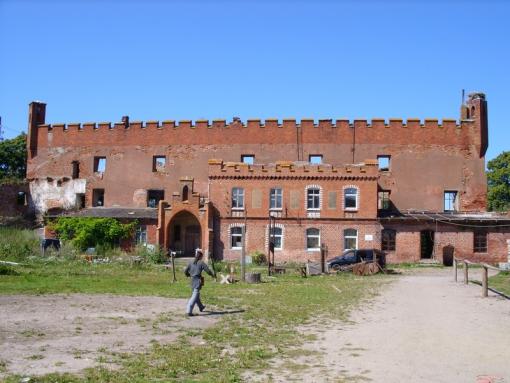 16155.img_assist_custom-510x383.jpg