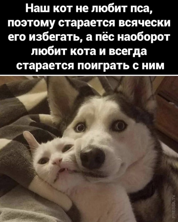 1616649667_pressa_tv_mem-08.jpg