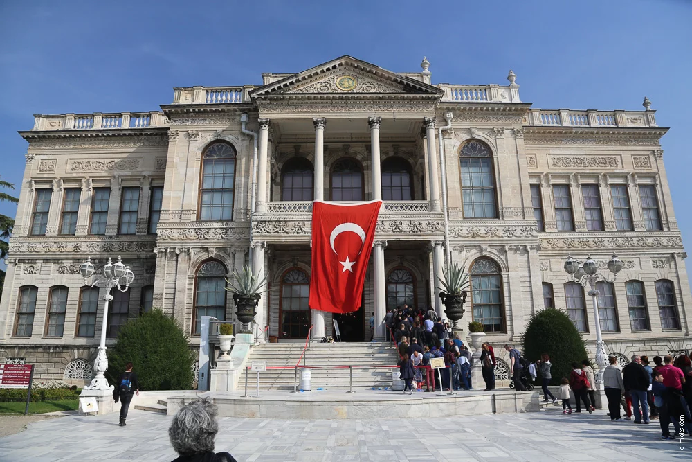 162.webp