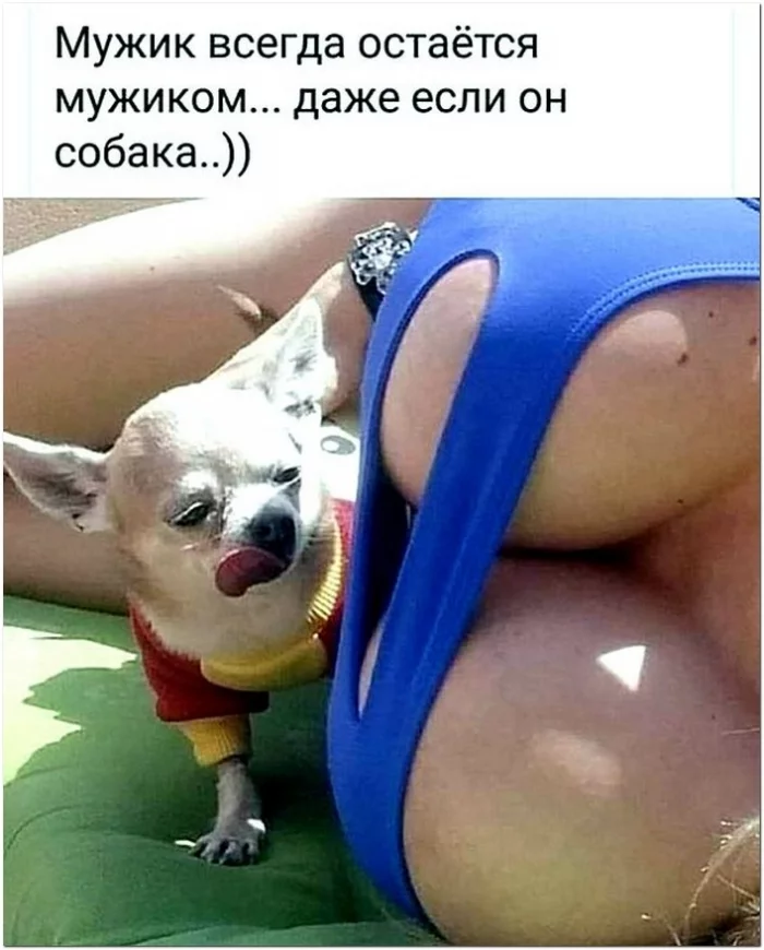 1621145487_kaifolog.net_foto-41.webp