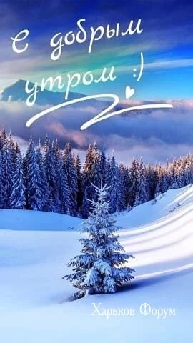1622f146386239018d58e9a.webp