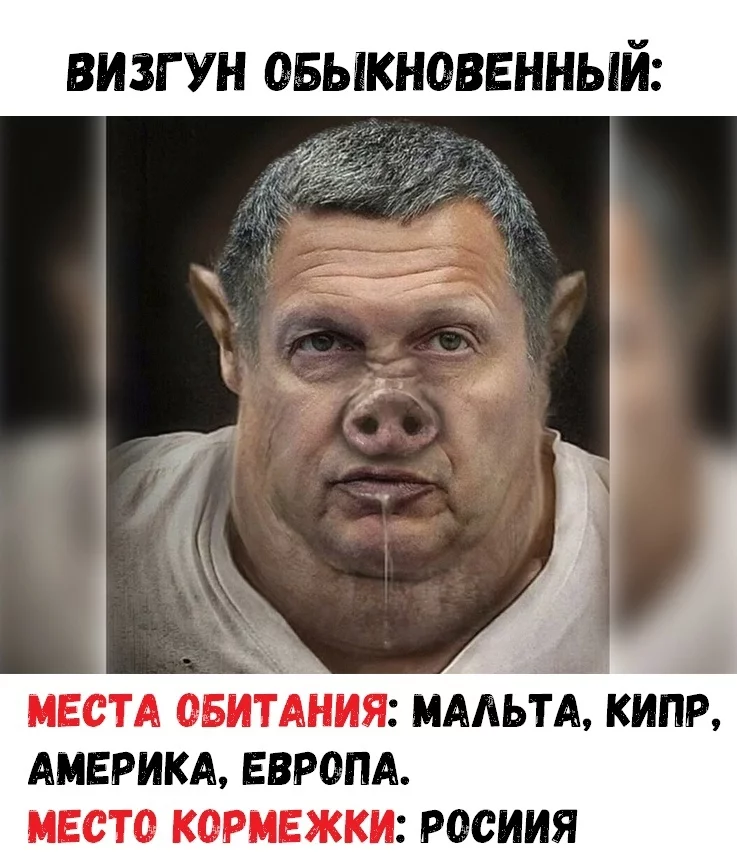 1623965805139522575.webp